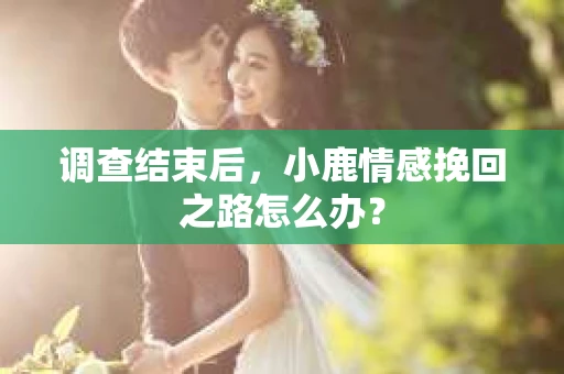 调查结束后，小鹿情感挽回之路怎么办？