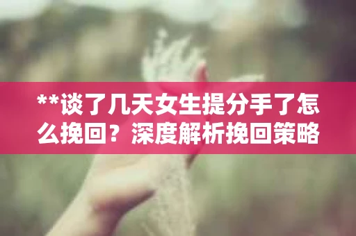**谈了几天女生提分手了怎么挽回？深度解析挽回策略**