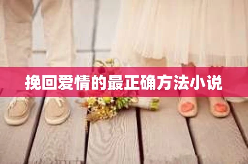 挽回爱情的最正确方法小说