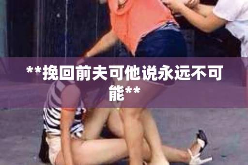 **挽回前夫可他说永远不可能**