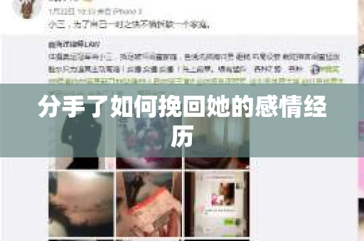 分手了如何挽回她的感情经历