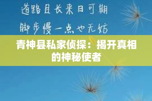 青神县私家侦探：揭开真相的神秘使者