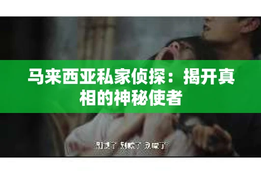 马来西亚私家侦探：揭开真相的神秘使者