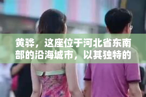 黄骅，这座位于河北省东南部的沿海城市，以其独特的地理位置和丰富的历史文化而闻名。然而，在这座城市中，还有一群人，他们以另一种方式默默守护着社会的公平与正义——私家侦探。今天，我们就来聊聊黄骅的私家侦探，看看他们是如何在这个城市中发挥作用的。