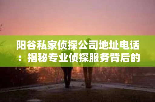 阳谷私家侦探公司地址电话：揭秘专业侦探服务背后的故事