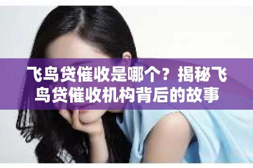 飞鸟贷催收是哪个？揭秘飞鸟贷催收机构背后的故事