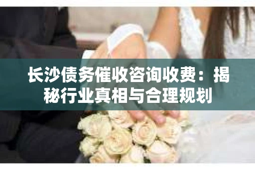 长沙债务催收咨询收费：揭秘行业真相与合理规划
