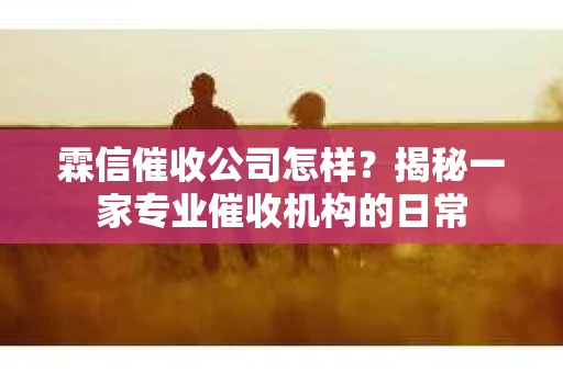 霖信催收公司怎样？揭秘一家专业催收机构的日常