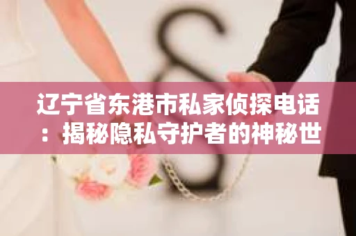 辽宁省东港市私家侦探电话：揭秘隐私守护者的神秘世界