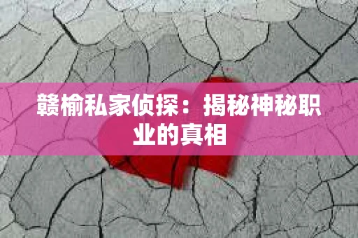 赣榆私家侦探：揭秘神秘职业的真相