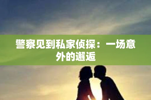 警察见到私家侦探：一场意外的邂逅
