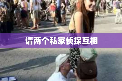 请两个私家侦探互相
