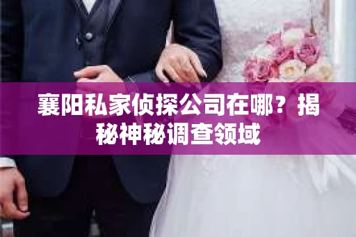 襄阳私家侦探公司在哪？揭秘神秘调查领域