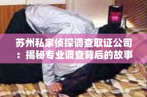 苏州私家侦探调查取证公司：揭秘专业调查背后的故事