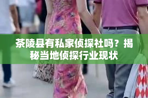 茶陵县有私家侦探社吗？揭秘当地侦探行业现状