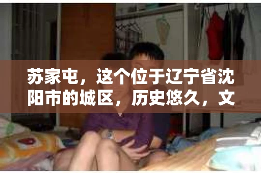 苏家屯，这个位于辽宁省沈阳市的城区，历史悠久，文化底蕴深厚。近年来，随着社会的发展，人们对于私家侦探的需求也逐渐增加。那么，苏家屯有私家侦探吗？今天，我们就来聊聊这个话题。