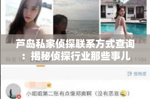 芦岛私家侦探联系方式查询：揭秘侦探行业那些事儿