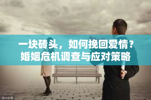 一块砖头，如何挽回爱情？婚姻危机调查与应对策略