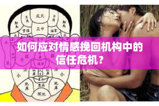 如何应对情感挽回机构中的信任危机？