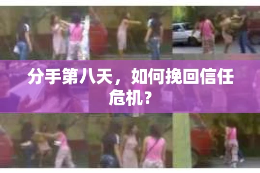 分手第八天，如何挽回信任危机？