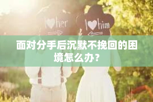 面对分手后沉默不挽回的困境怎么办？
